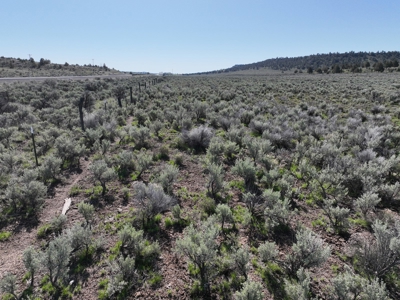 Eastern Oregon Acreage - Located outside of Hines - image 14