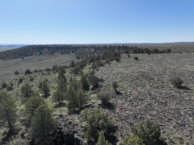 Eastern Oregon Acreage - Located outside of Hines - image 19