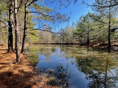 Acreage For Sale With Pond And No Restrictions - image 5