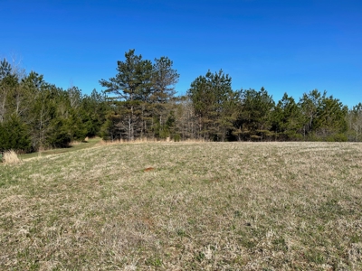 Acreage For Sale With Pond And No Restrictions - image 8