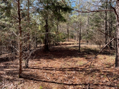 Acreage For Sale With Pond And No Restrictions - image 4