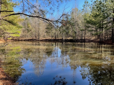 Acreage For Sale With Pond And No Restrictions - image 6