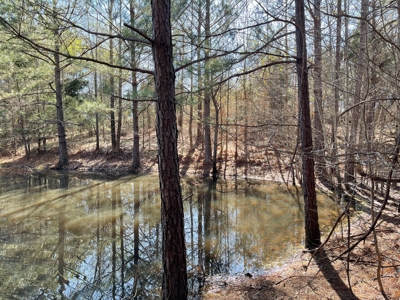 Acreage For Sale With Pond And No Restrictions - image 7