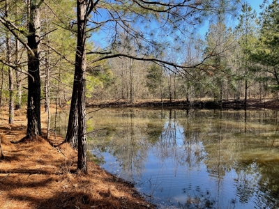 Acreage For Sale With Pond And No Restrictions - image 1