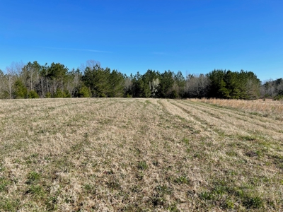Acreage For Sale With Pond And No Restrictions - image 2