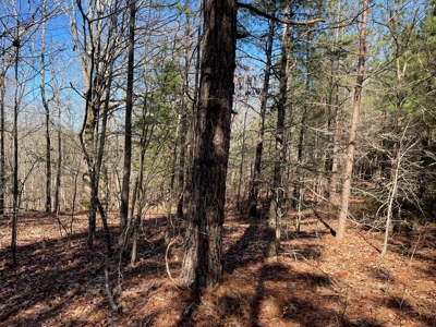 Acreage For Sale With Pond And No Restrictions - image 10