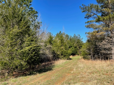 Acreage For Sale With Pond And No Restrictions - image 3