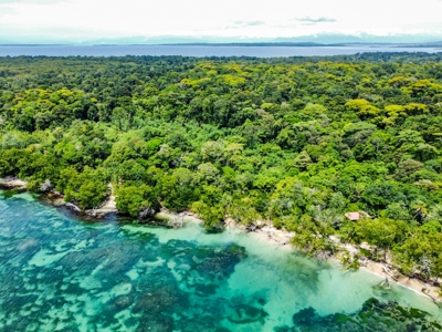 Titled Botanical Wildlife Sanctuary FOR SALE - image 20