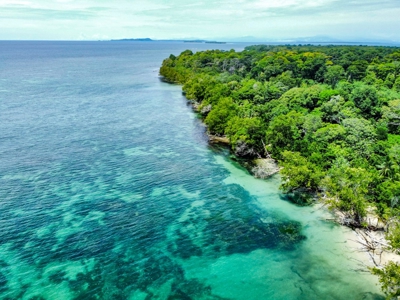 Titled Botanical Wildlife Sanctuary FOR SALE - image 28