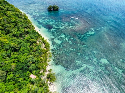 Titled Botanical Wildlife Sanctuary FOR SALE - image 22