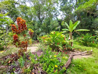 Titled Botanical Wildlife Sanctuary FOR SALE - image 17