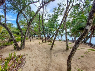 Titled Botanical Wildlife Sanctuary FOR SALE - image 7