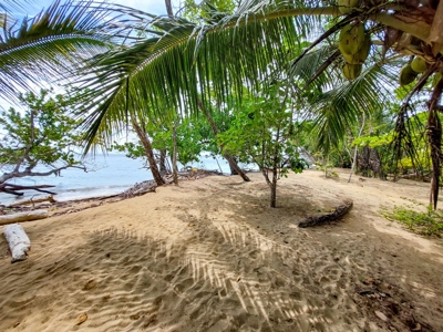 Titled Botanical Wildlife Sanctuary FOR SALE - image 16