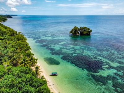 Titled Botanical Wildlife Sanctuary FOR SALE - image 29