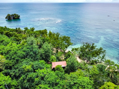 Titled Botanical Wildlife Sanctuary FOR SALE - image 25