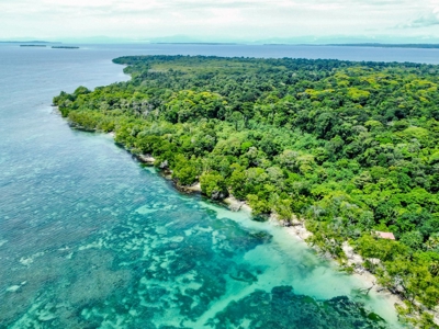 Titled Botanical Wildlife Sanctuary FOR SALE - image 21