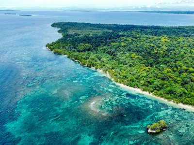 Titled Botanical Wildlife Sanctuary FOR SALE - image 24