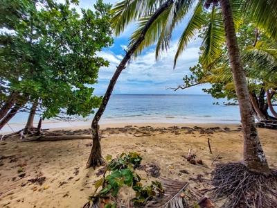 Titled Botanical Wildlife Sanctuary FOR SALE - image 6