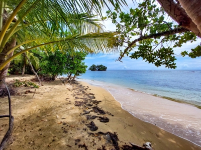 Titled Botanical Wildlife Sanctuary FOR SALE - image 8