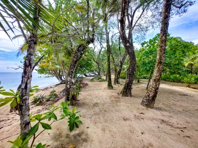Titled Botanical Wildlife Sanctuary FOR SALE - image 5