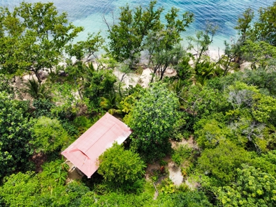 Titled Botanical Wildlife Sanctuary FOR SALE - image 26