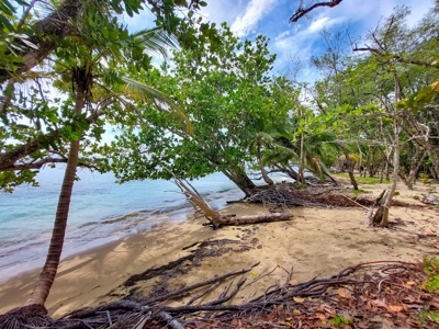 Titled Botanical Wildlife Sanctuary FOR SALE - image 15