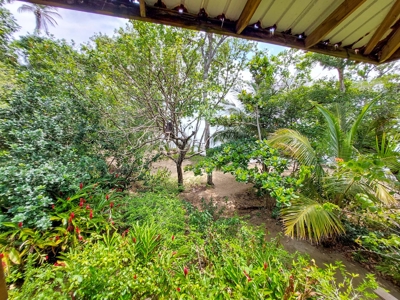 Titled Botanical Wildlife Sanctuary FOR SALE - image 19