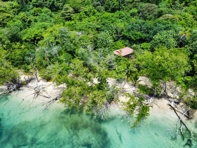 Titled Botanical Wildlife Sanctuary FOR SALE - image 27