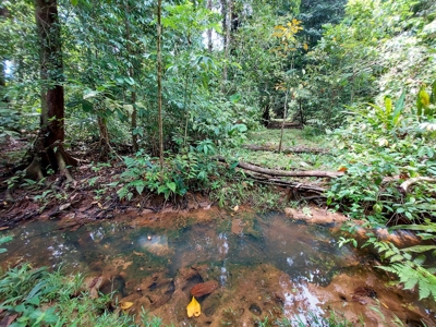 Titled Botanical Wildlife Sanctuary FOR SALE - image 1