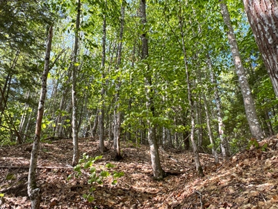 Penobscot River Land for Sale - image 9