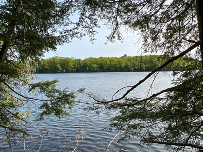 Penobscot River Land for Sale - image 11
