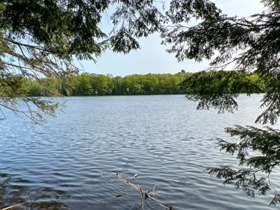 Penobscot River Land for Sale - image 12