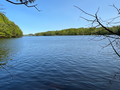 Penobscot River Land for Sale - image 17