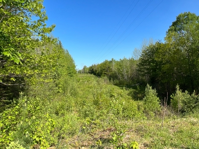 Penobscot River Land for Sale - image 2