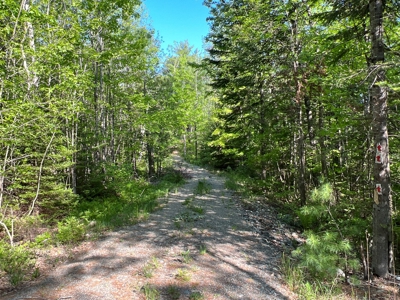 Penobscot River Land for Sale - image 4