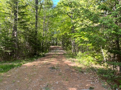 Penobscot River Land for Sale - image 3