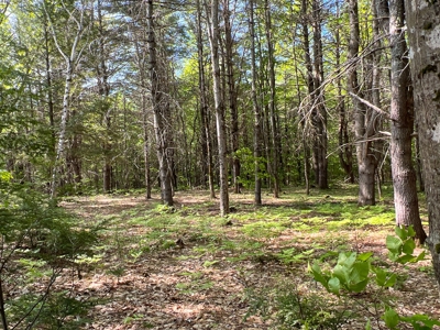 Penobscot River Land for Sale - image 8