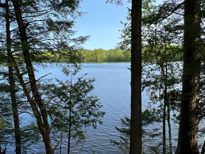 Penobscot River Land for Sale - image 16