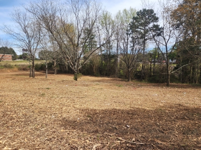 Commercial Land for Development or Ground Lease Near BMW - image 9
