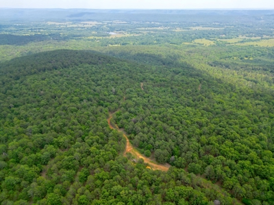 Hunting land for sale in Daisy, OK - image 6