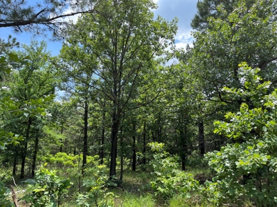 Hunting land for sale in Daisy, OK - image 24