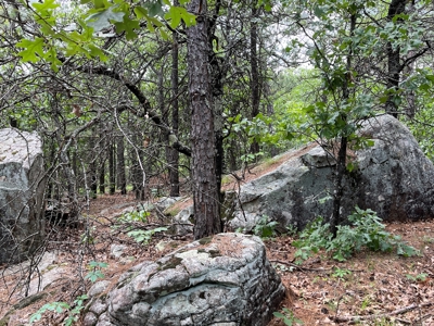 Hunting land for sale in Daisy, OK - image 31