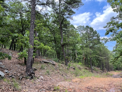 Hunting land for sale in Daisy, OK - image 37