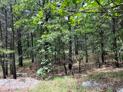 Hunting land for sale in Daisy, OK - image 35