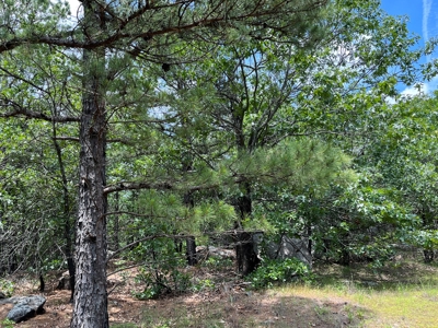 Hunting land for sale in Daisy, OK - image 34