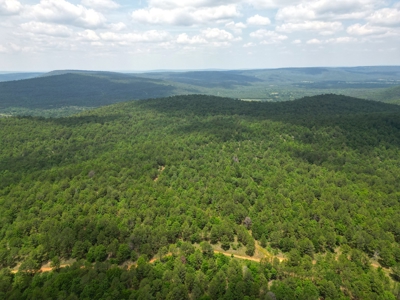 Hunting land for sale in Daisy, OK - image 3