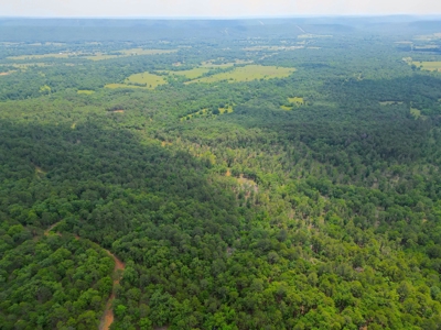 Hunting land for sale in Daisy, OK - image 7
