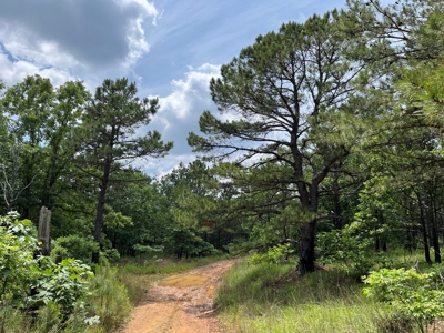 Hunting land for sale in Daisy, OK - image 25