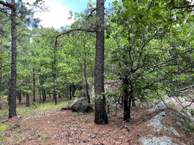 Hunting land for sale in Daisy, OK - image 32