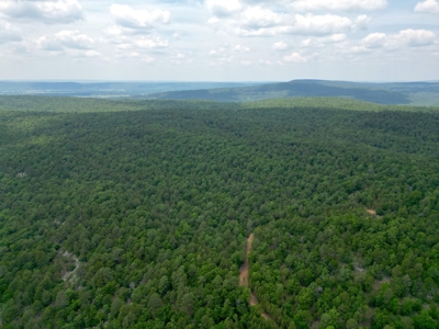 Hunting land for sale in Daisy, OK - image 12